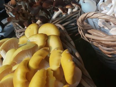 vegetarisch_herfst