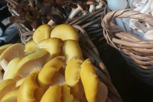 vegetarisch_herfst
