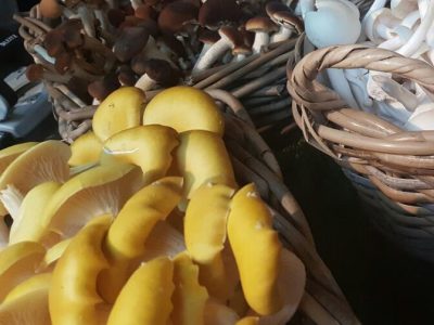 vegetarisch_herfst